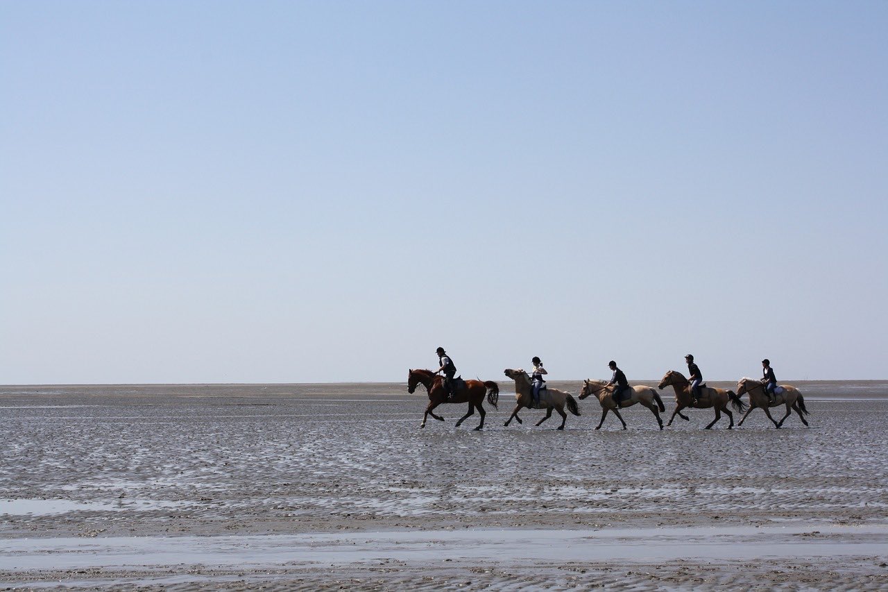 Jak dotrzeć na wyspę Neuwerk